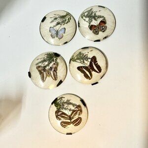 Domed Glass with Butterfly Taxidermy Set Of 5 READ